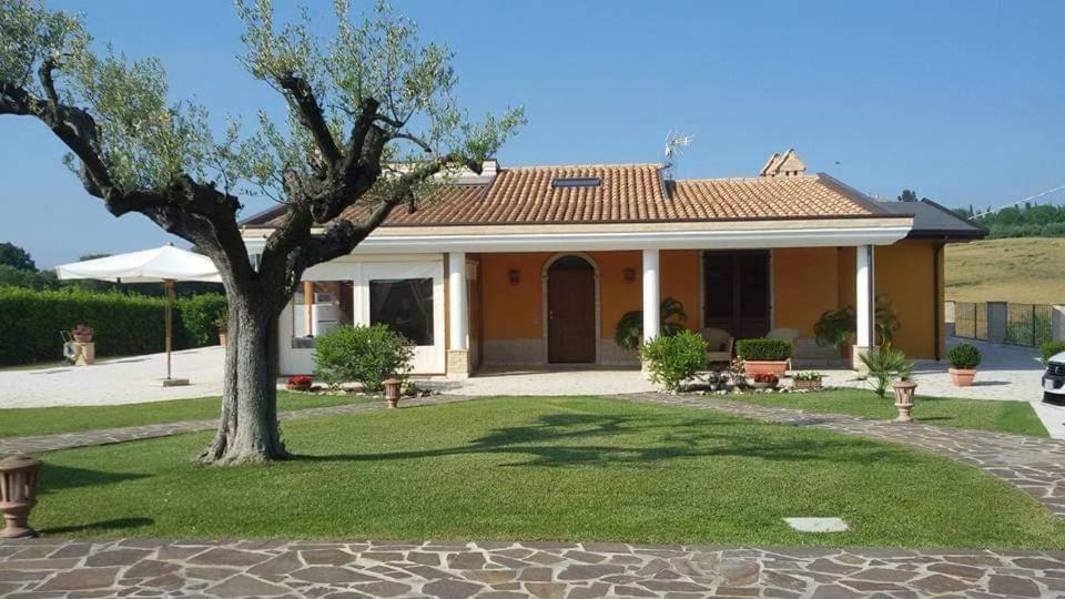 B&B Agrifoglio SantʼElpidio a Mare Exteriör bild