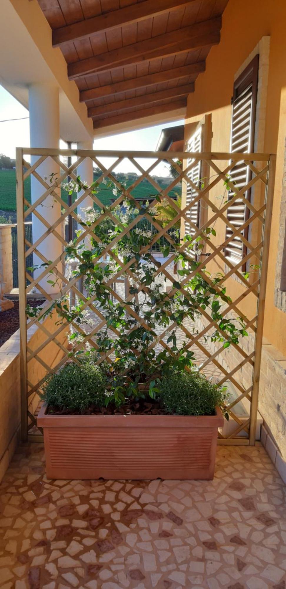B&B Agrifoglio SantʼElpidio a Mare Exteriör bild