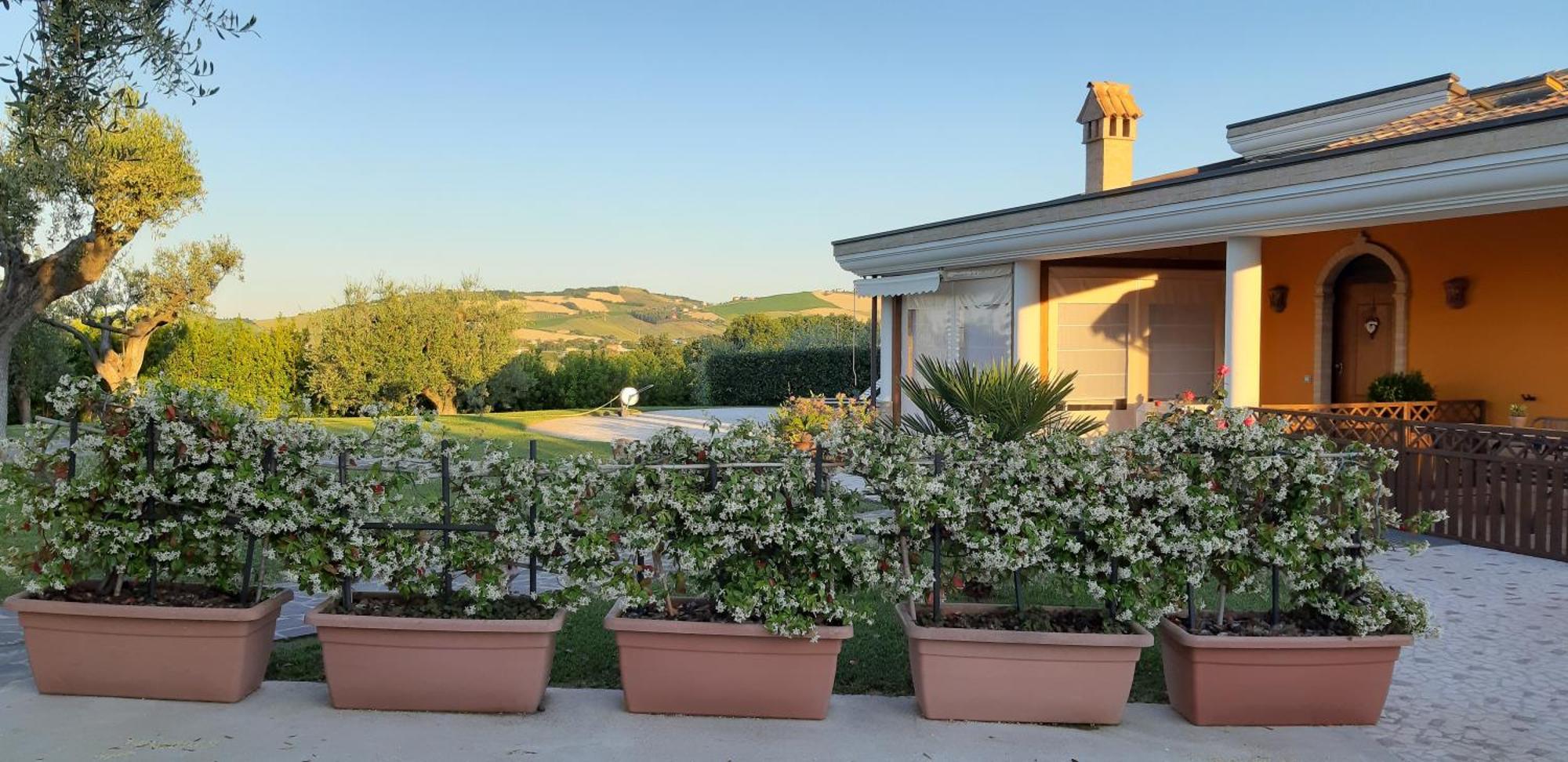 B&B Agrifoglio SantʼElpidio a Mare Exteriör bild