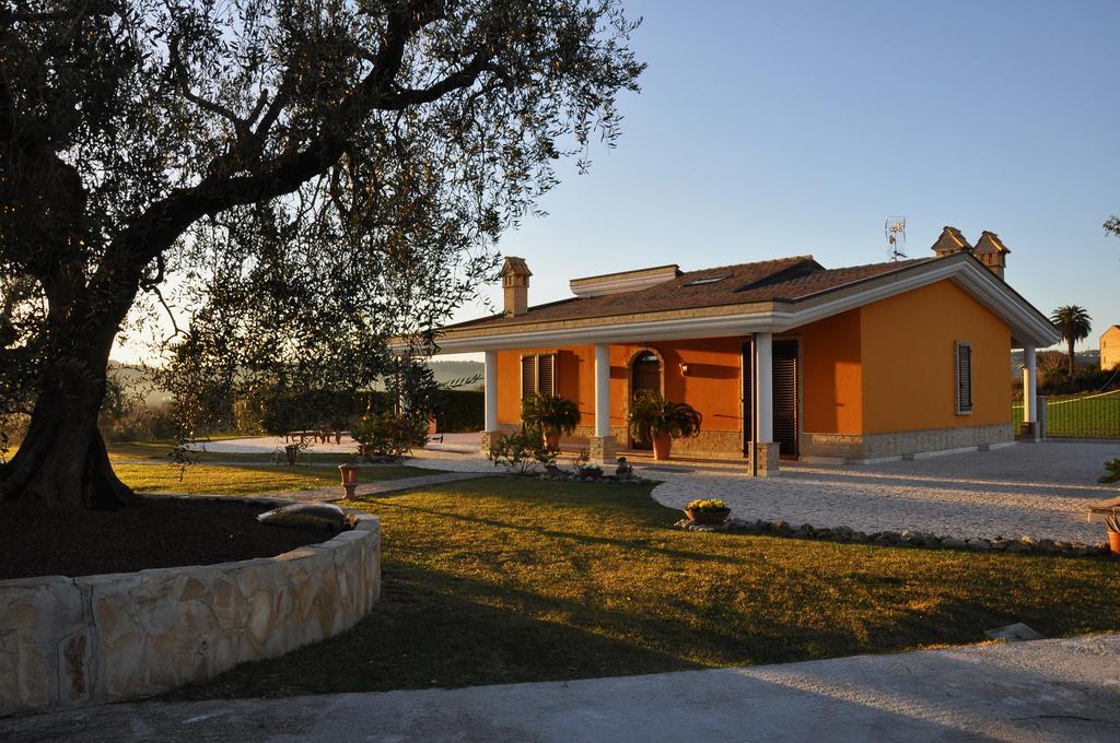 B&B Agrifoglio SantʼElpidio a Mare Exteriör bild